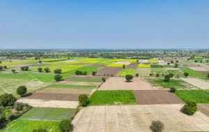 bail de parcelle agricole