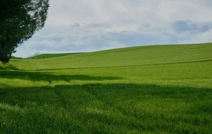 Groupement foncier agricole