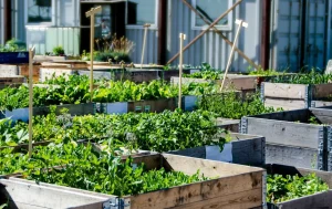 ferme urbaine
