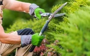 jardinier payé au black