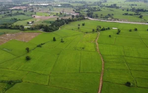 terre agricole