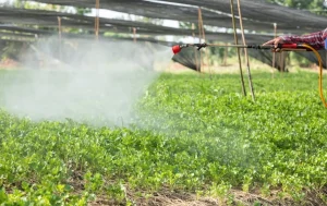 insecticide
